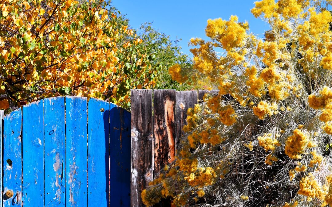 Small blue wooden panel garden door with yellow fall leaves surrounding it